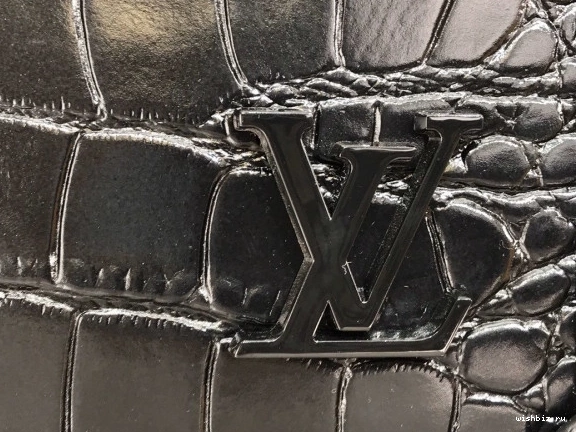 WIS SOFT LOUIS VUITTON TRUNK 0726